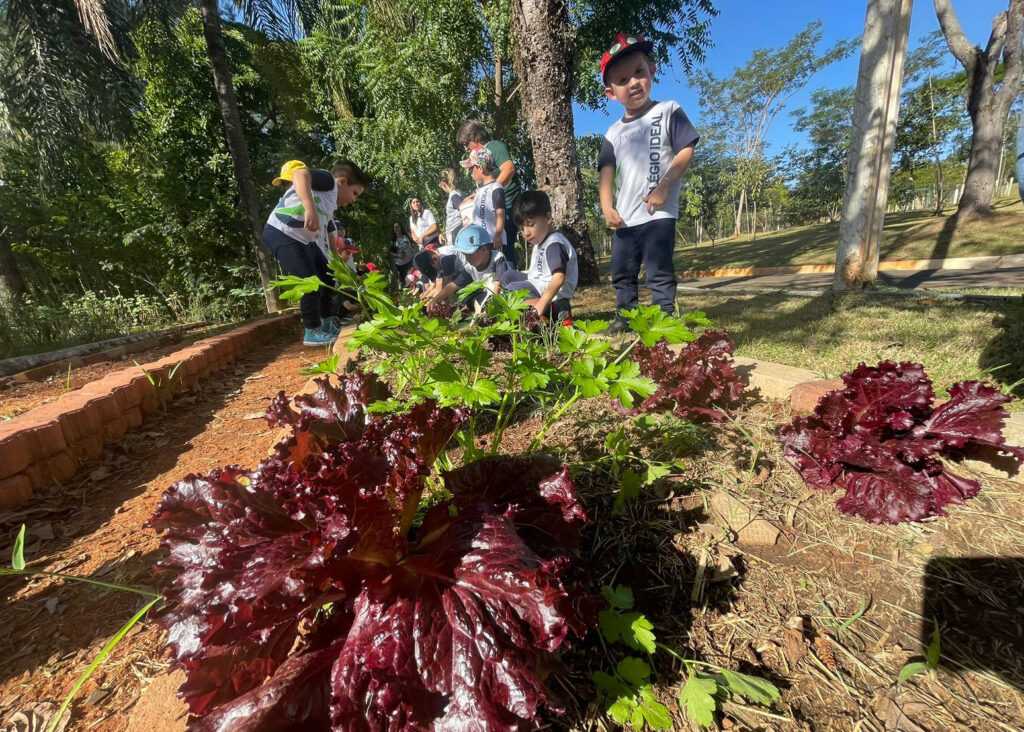 centro-ecologico-de-santa-barbara-recebe-alunos-do-colegio-ideal-e-da-toca-do-coelho
