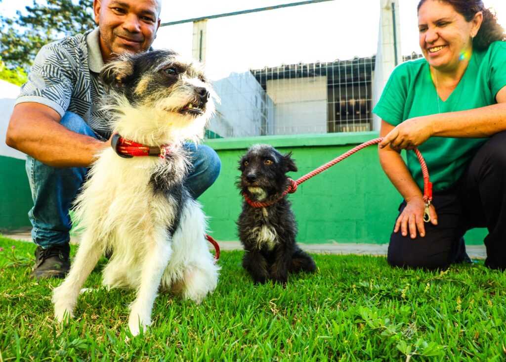 “1a-feira-pet-do-mercadao”-conta-com-animais-do-centro-de-bem-estar-animal-de-santa-barbara
