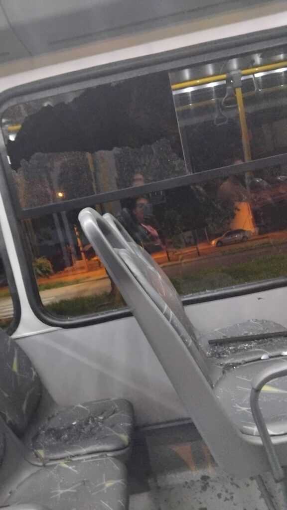 colisao-de-onibus-com-arvore-expoe-urgencia-de-manutencao-na-avenida-pedroso