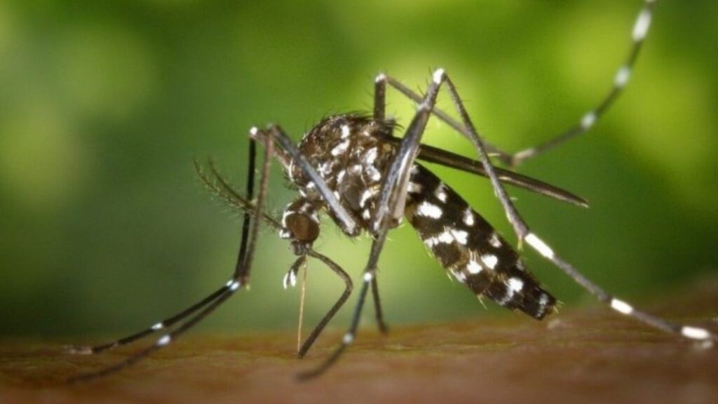 santa-barbara-confirma-mais-duas-mortes-por-dengue-e-total-de-obitos-sobe-para-16