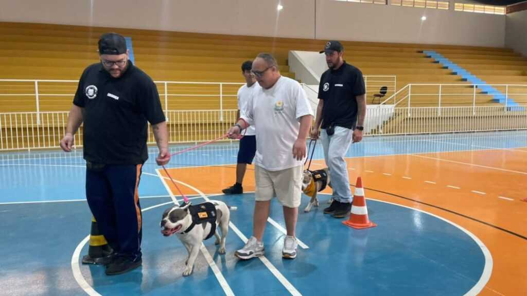 Projeto “Cães Que Curam” faz atividades na Apae de Santa Bárbara d’Oeste projeto-“caes-que-curam”-realiza-atividades-na-apae-de-santa-barbara-d’oeste