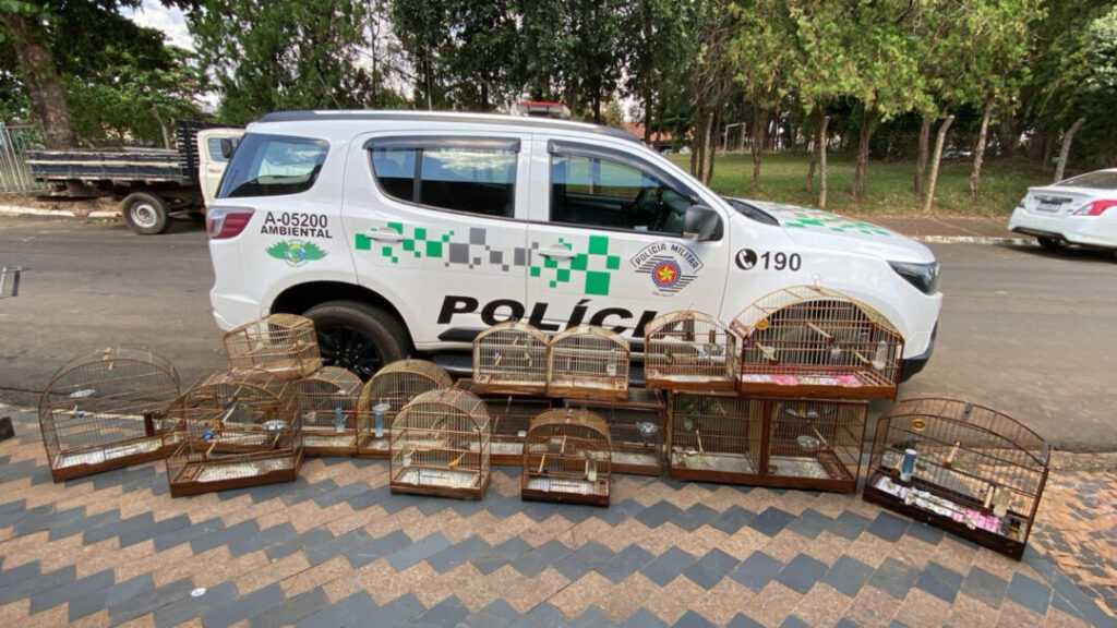 homem-e-multado-em-r$-9-mil-por-manter-18-aves-silvestres-em-santa-barbara-d’oeste