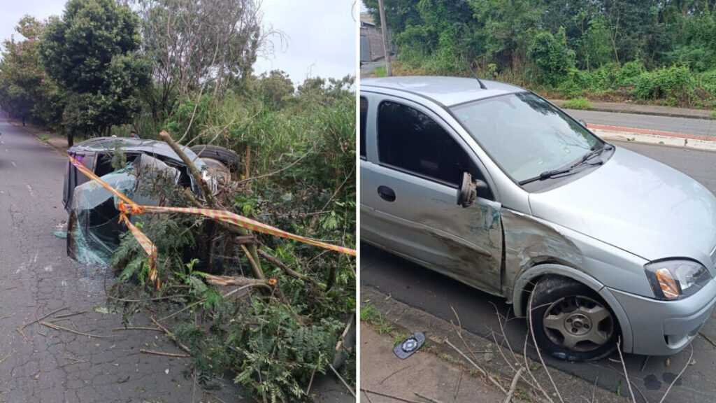 carro-derruba-arvore-e-tomba-apos-colisao-na-avenida-alfredo-contatto,-em-santa-barbara-d’oeste