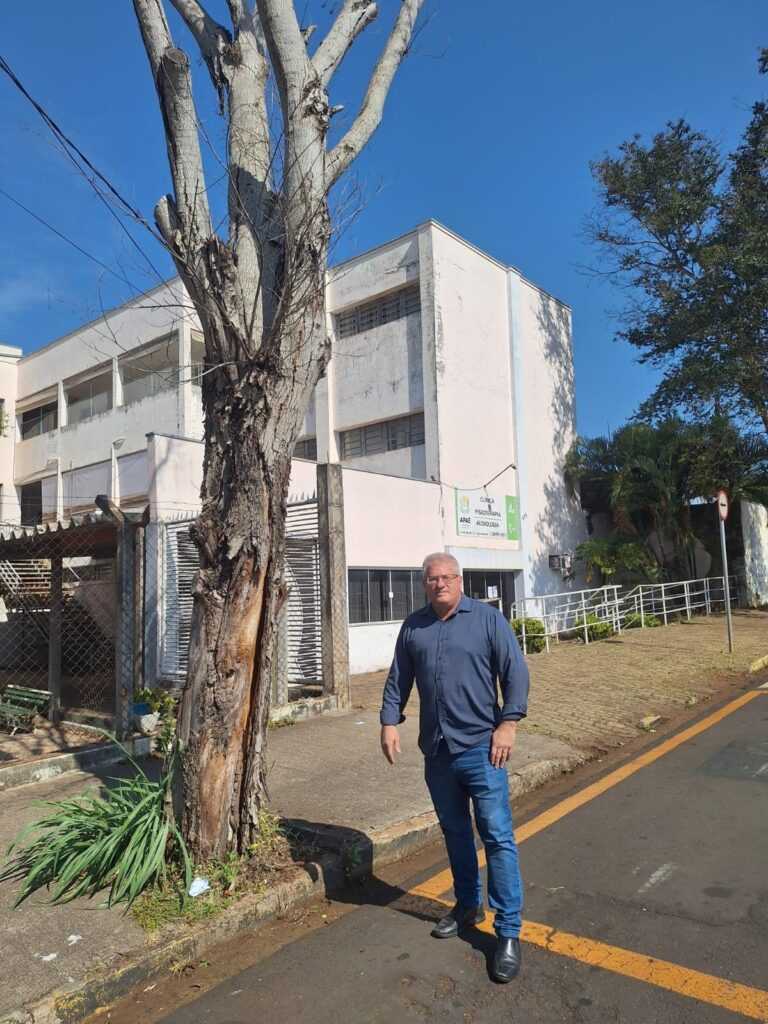 monaro-cobra-providencias-para-retirada-de-arvore-seca-ao-lado-da-apae